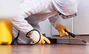 Best Fumigation Services  in Elton, LA